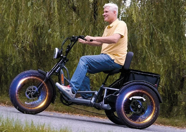 Dual Motor