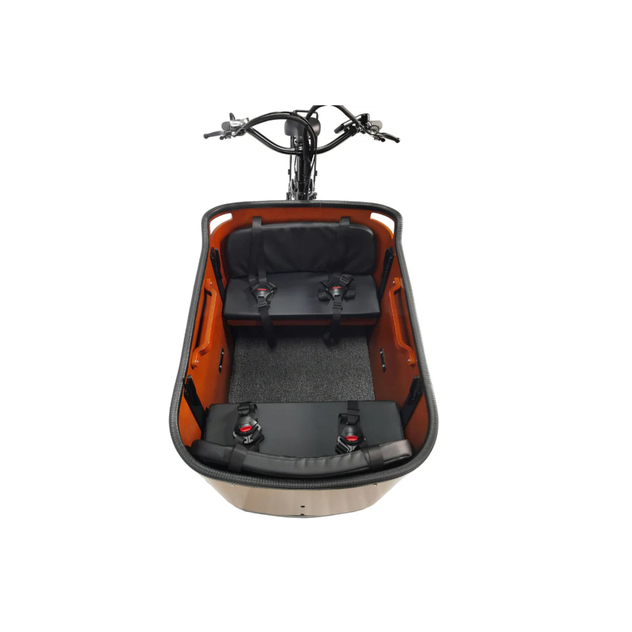 DIRWIN BIKE - Caravan Cargo E-Bike 48V 350W 20MPH