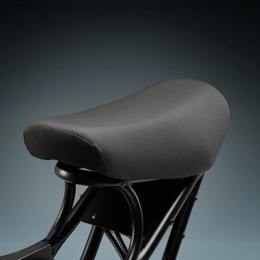 EAHORA - Cupid, Utility Electric Bike with 6-Piece Cargo Kit 27MPH