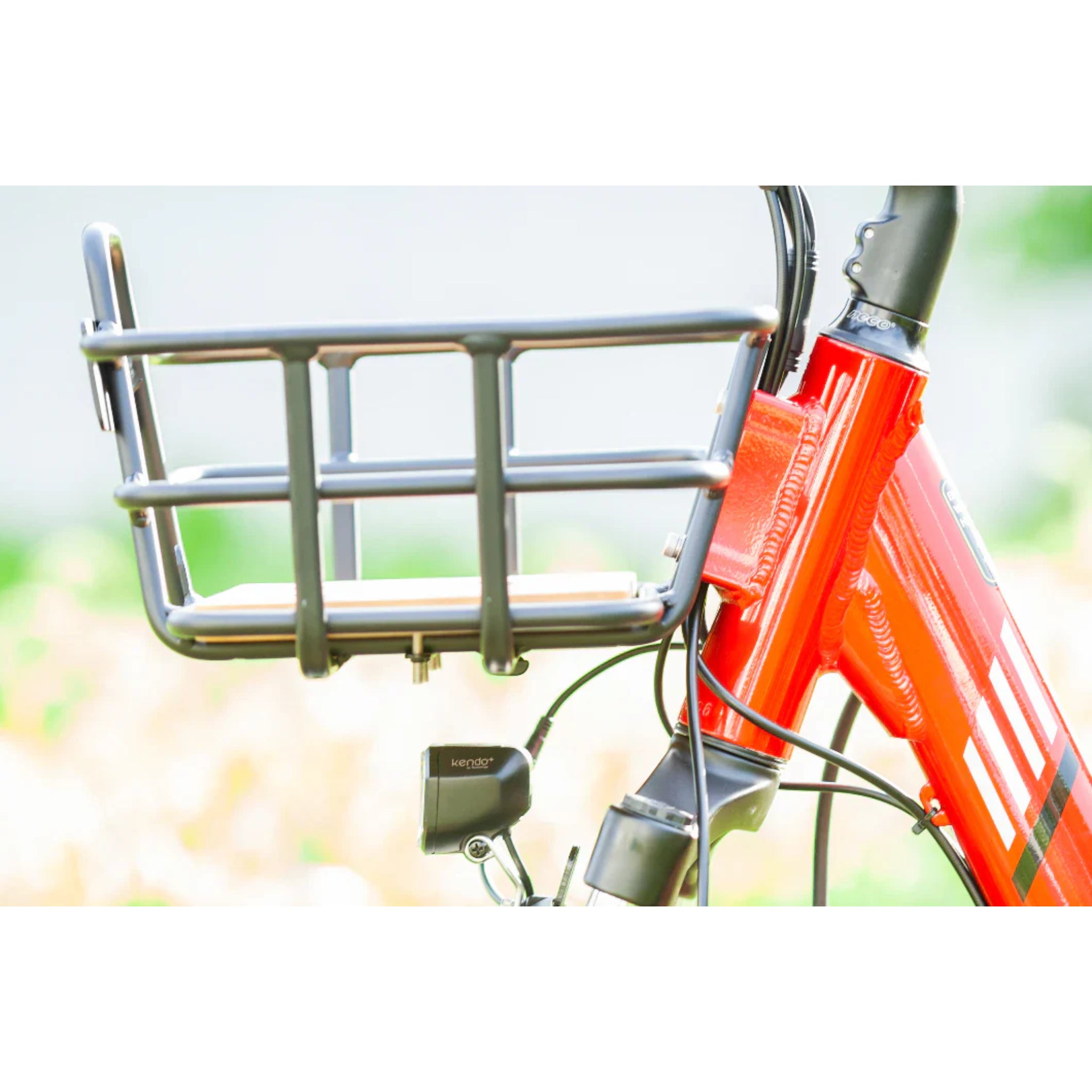 EMOJO - Bison Pro, Electric Trike, 48V/28Ah 750W 20 MPH