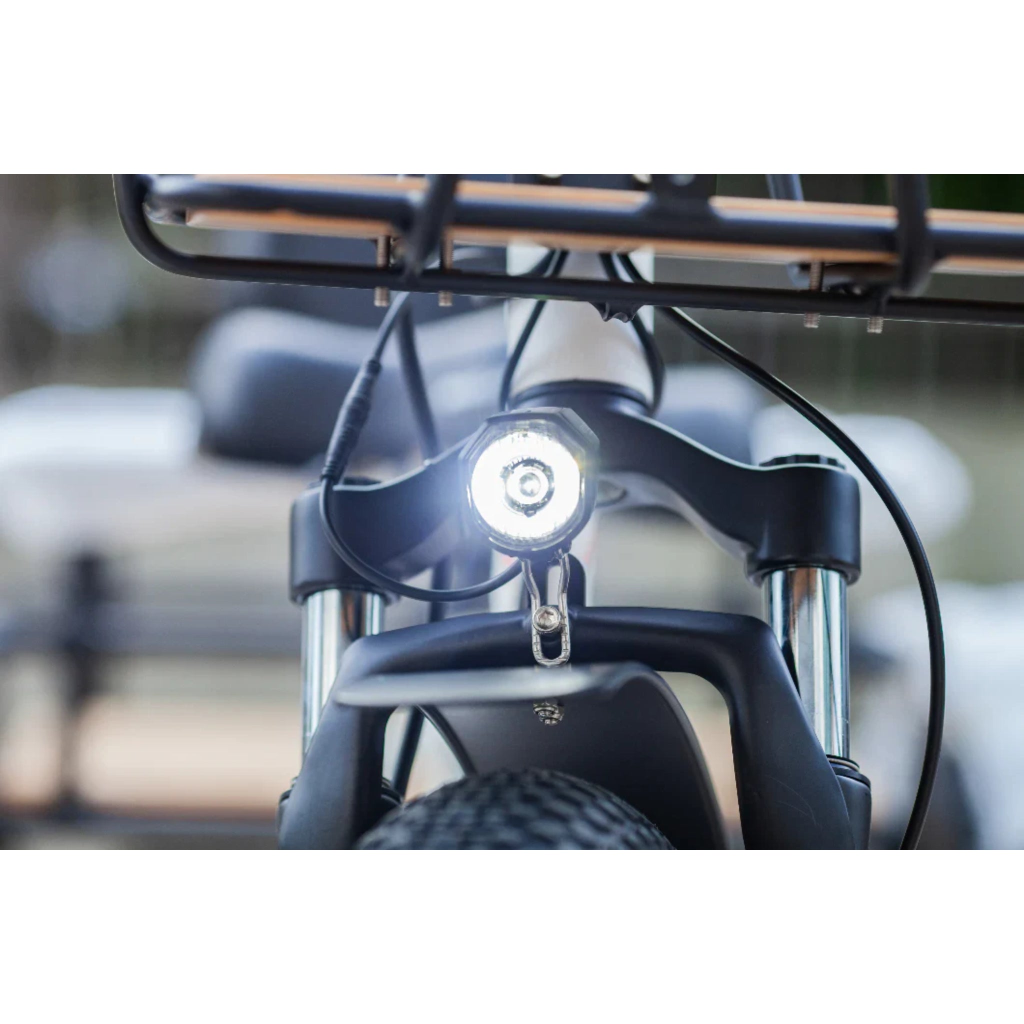 EMOJO - Bison Pro, Electric Trike, 48V/28Ah 750W 20 MPH