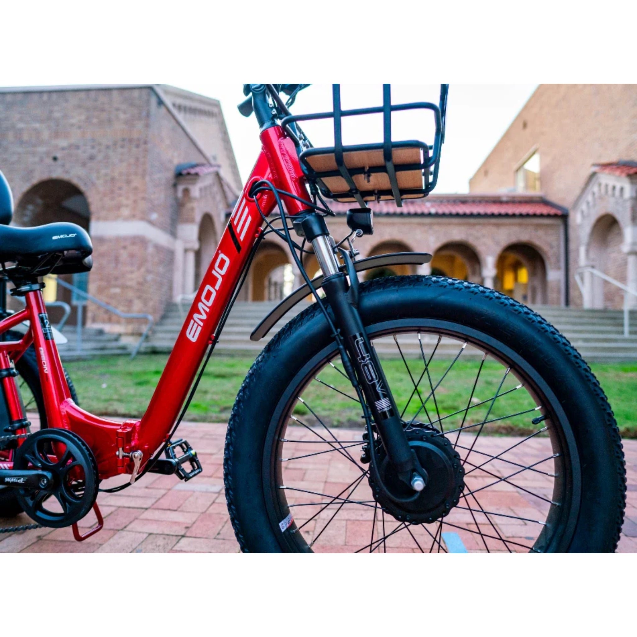 EMOJO - Bison Pro, Electric Trike, 48V/28Ah 750W 20 MPH