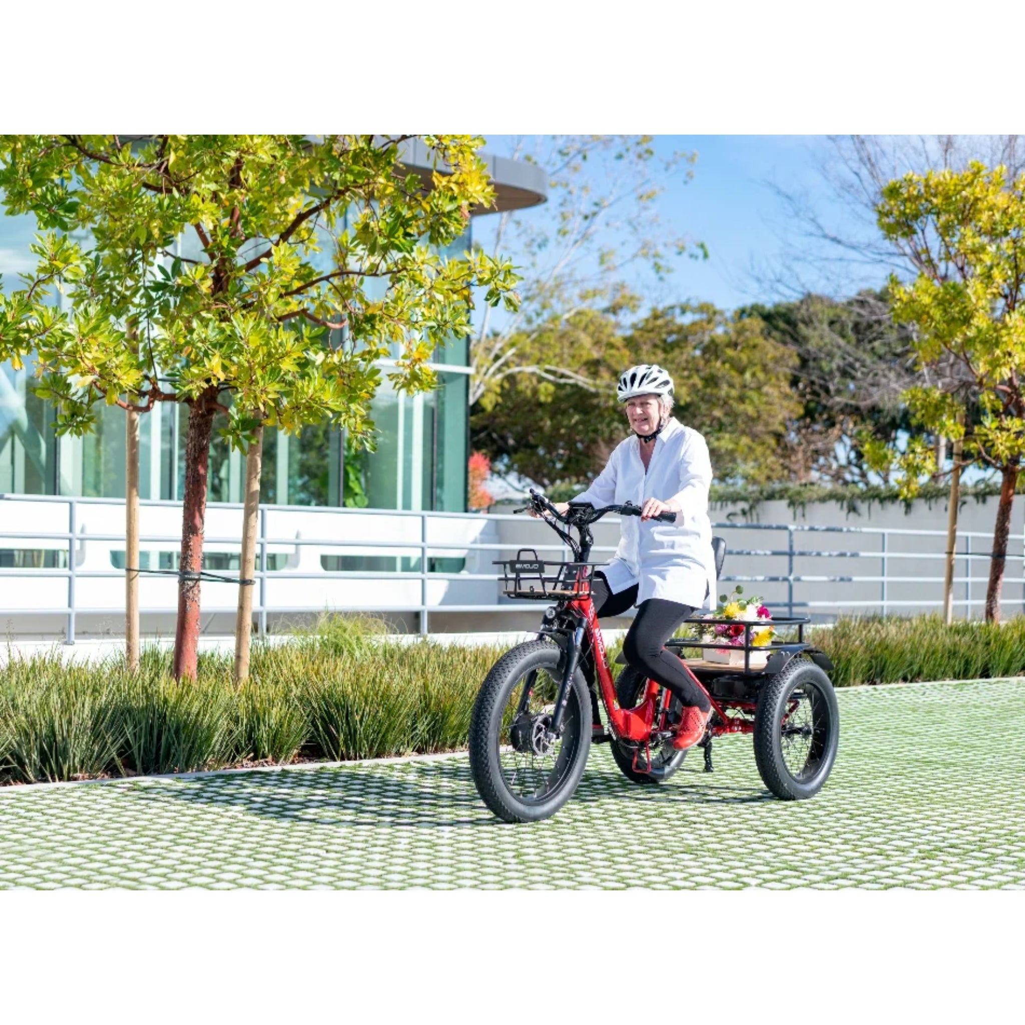 EMOJO - Bison Pro, Electric Trike, 48V/28Ah 750W 20 MPH