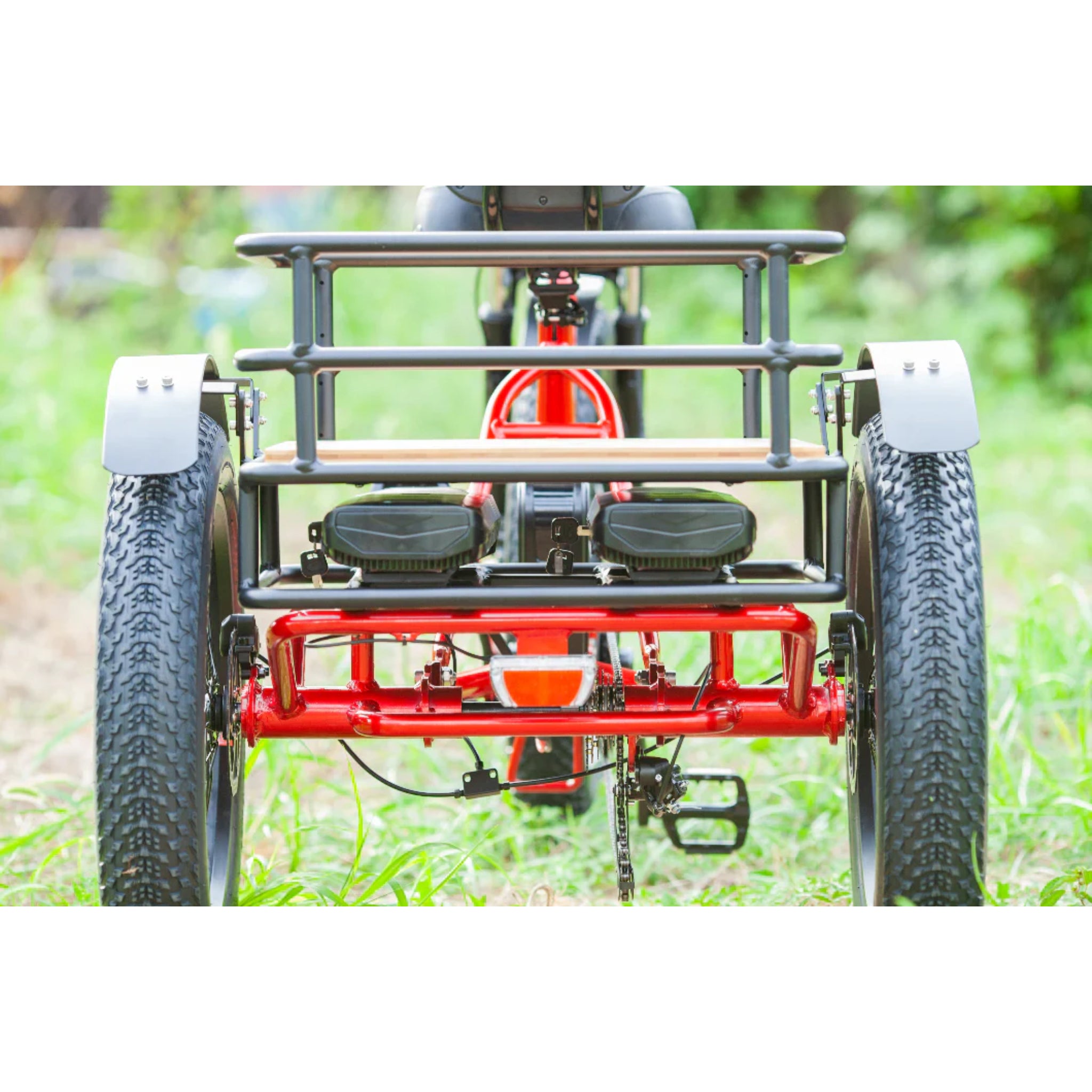 EMOJO - Bison Pro, Electric Trike, 48V/28Ah 750W 20 MPH