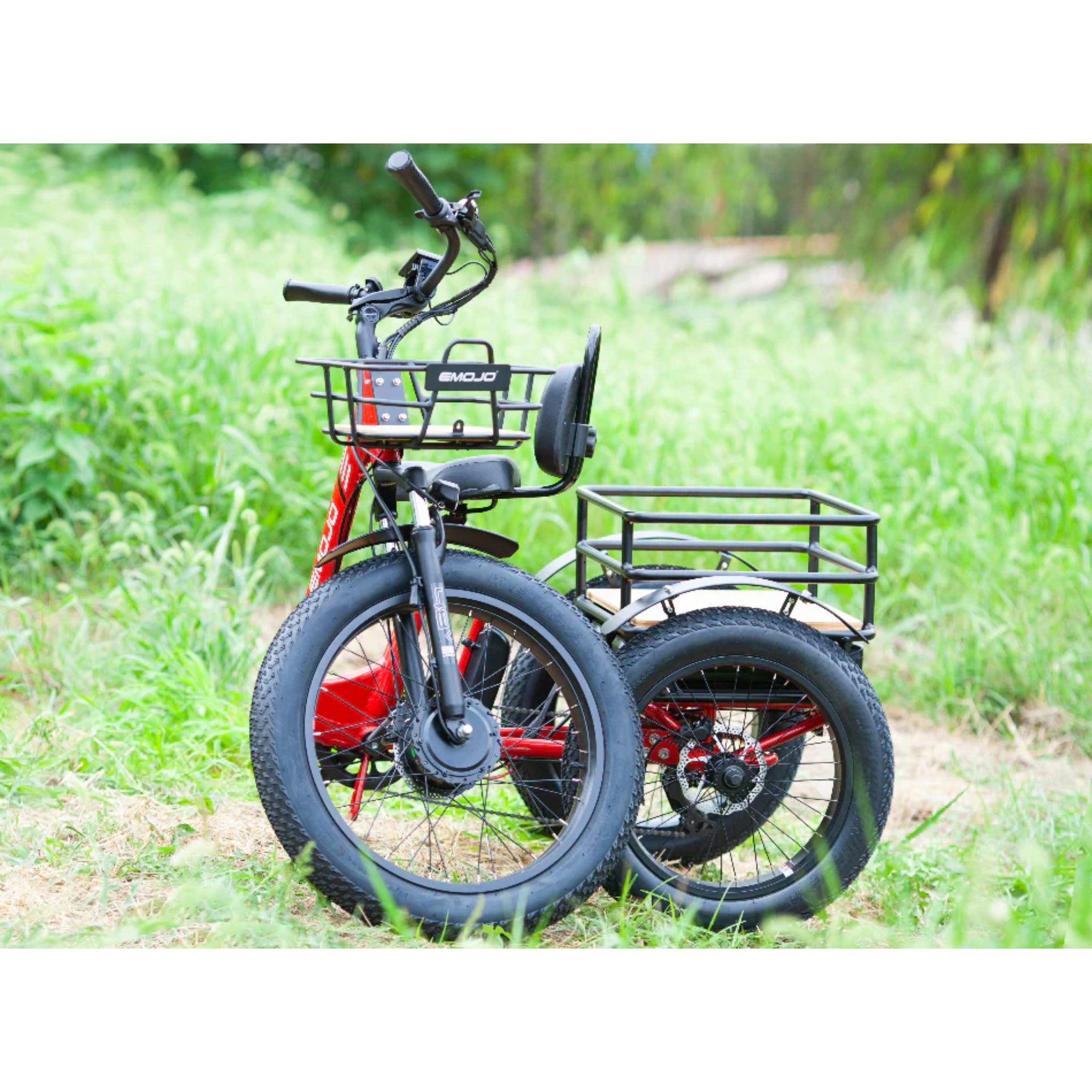 EMOJO - Bison Pro, Electric Trike, 48V/28Ah 750W 20 MPH
