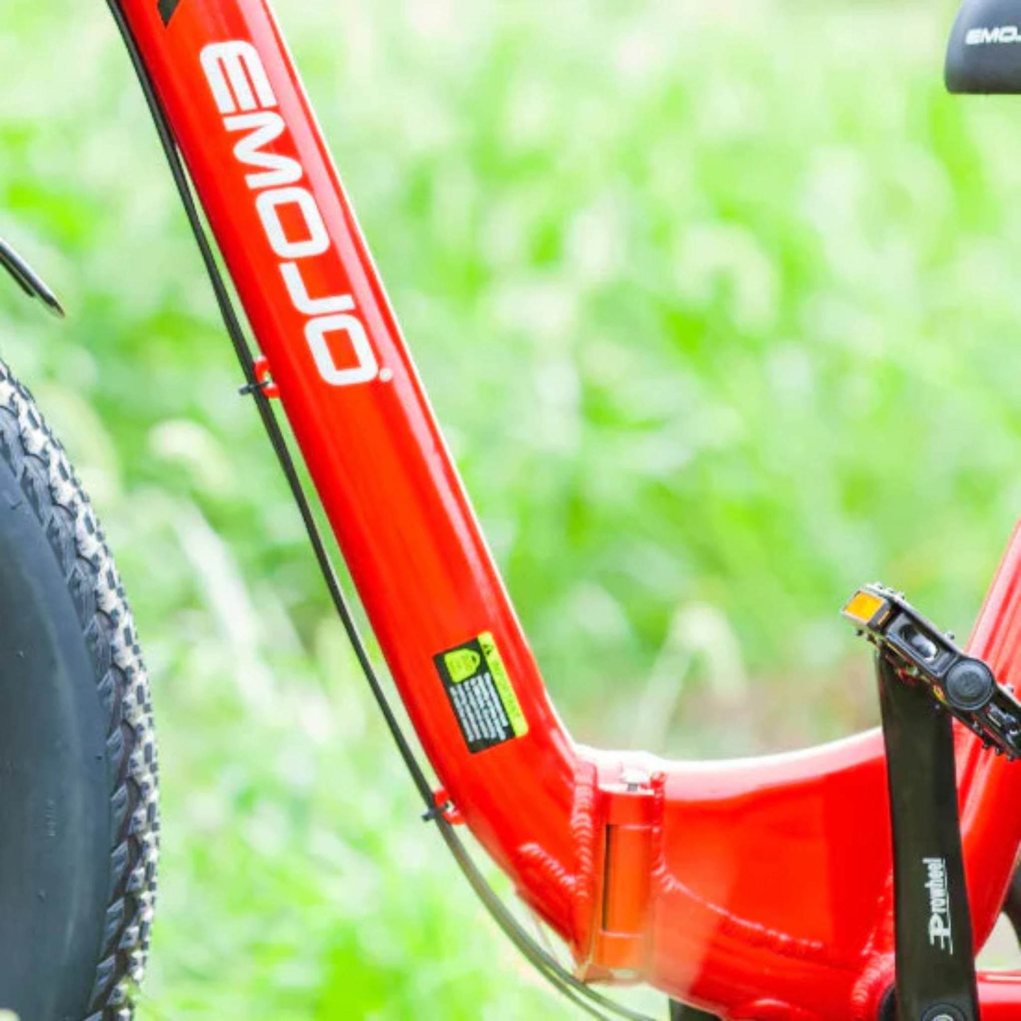 EMOJO - Bison Pro, Electric Trike, 48V/28Ah 750W 20 MPH