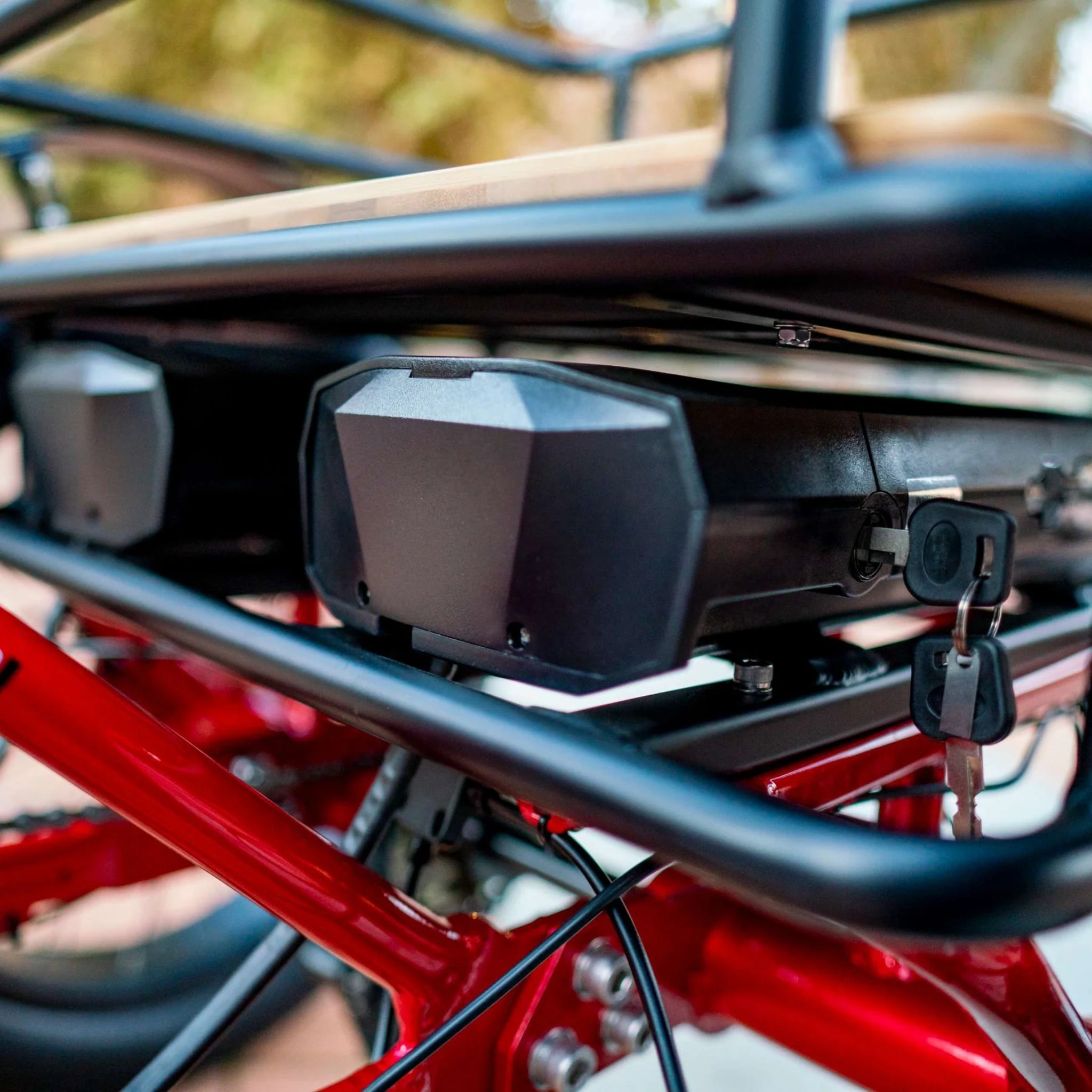 EMOJO - Bison Pro, Electric Trike, 48V/28Ah 750W 20 MPH