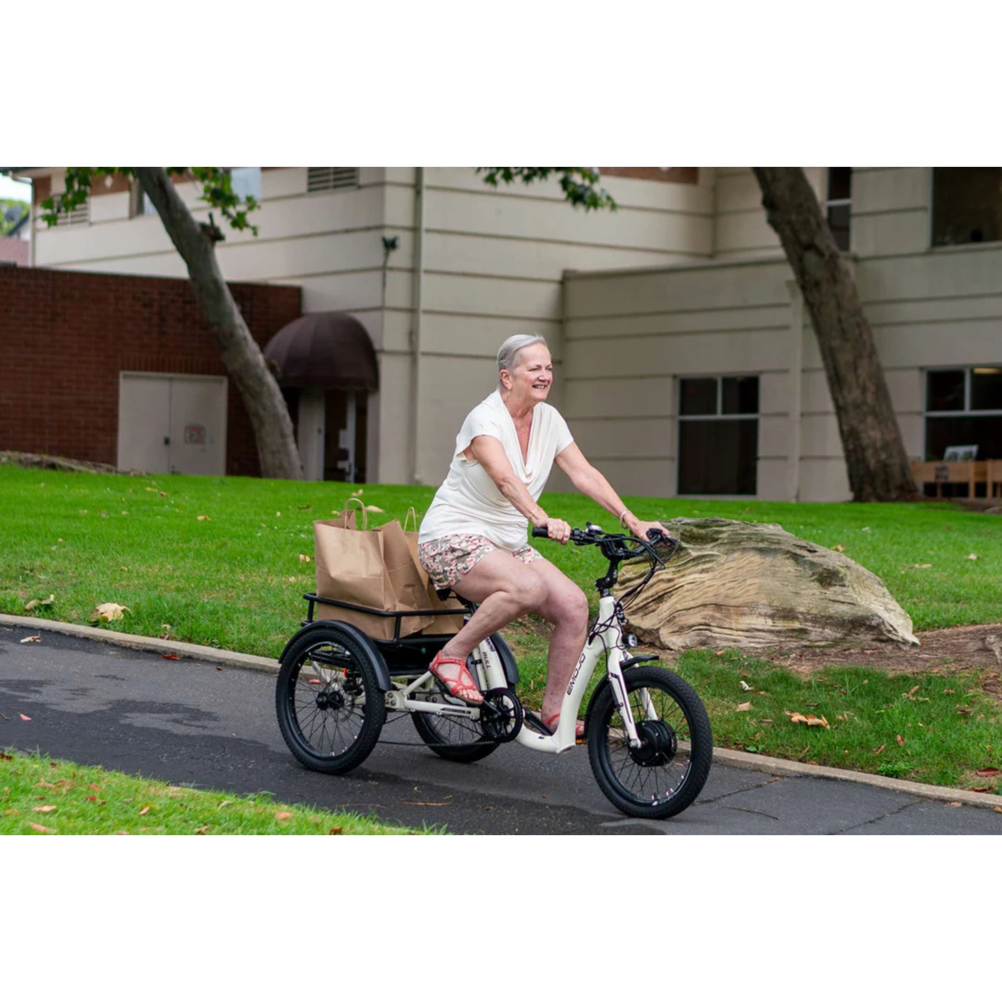 EMOJO - Bull Electric Trikes, 48V/14Ah 500W, 20 Mph