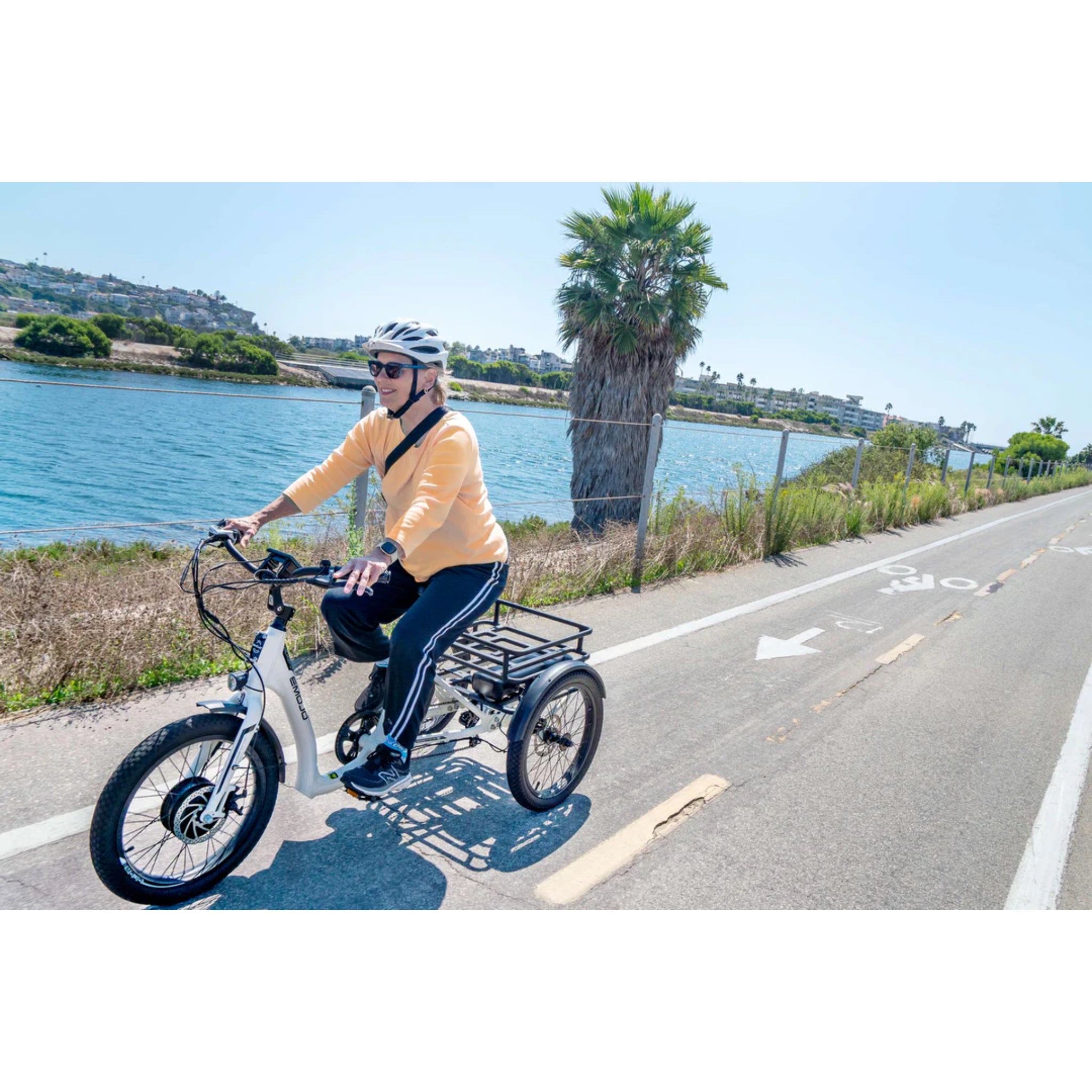 EMOJO - Bull Electric Trikes, 48V/14Ah 500W, 20 Mph