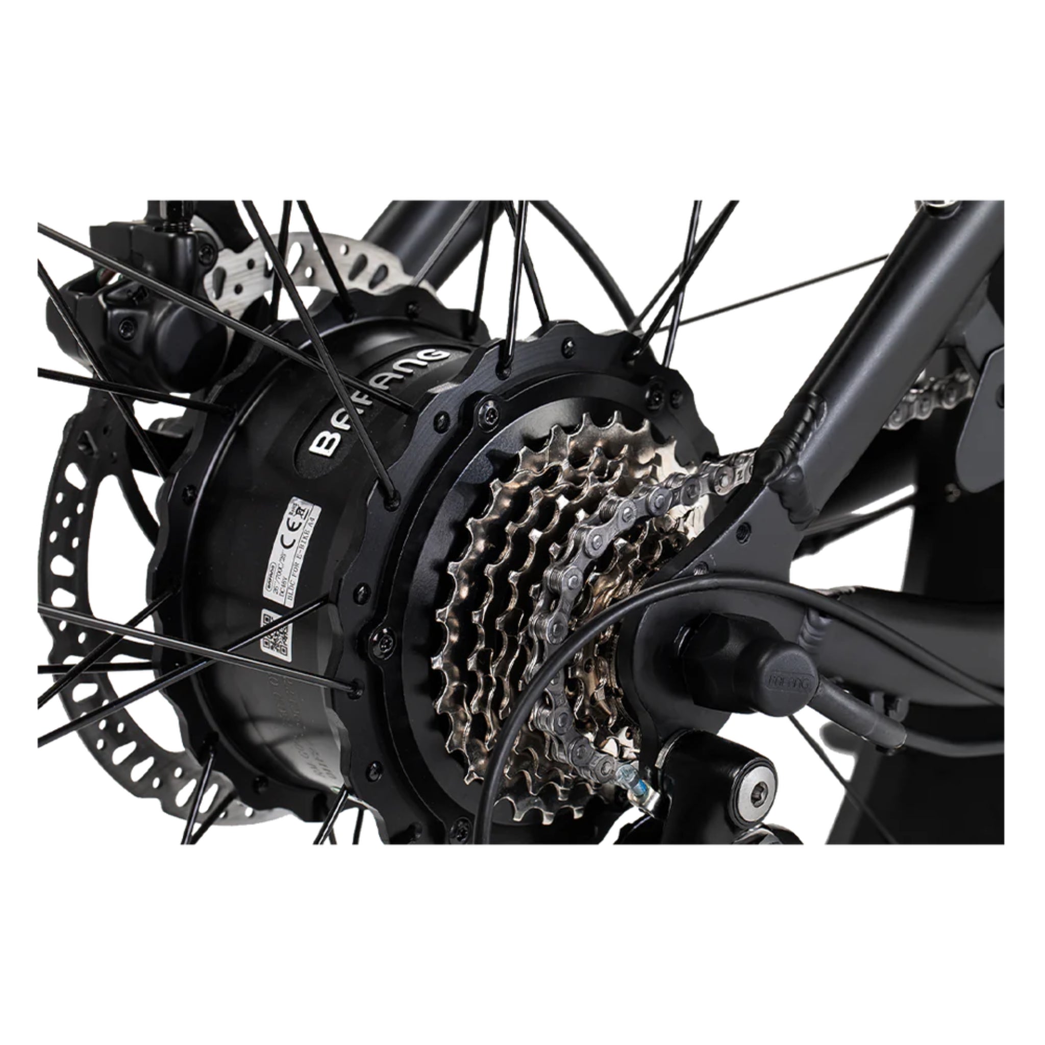 REVI BIKES - Cheetah (New), Vintage Electric Bike 48V 750W 28mph