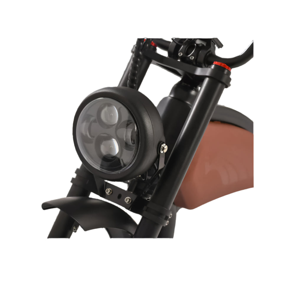 REVI BIKES - Prowler, Vintage Electric Bike 52V 1000W 28mph