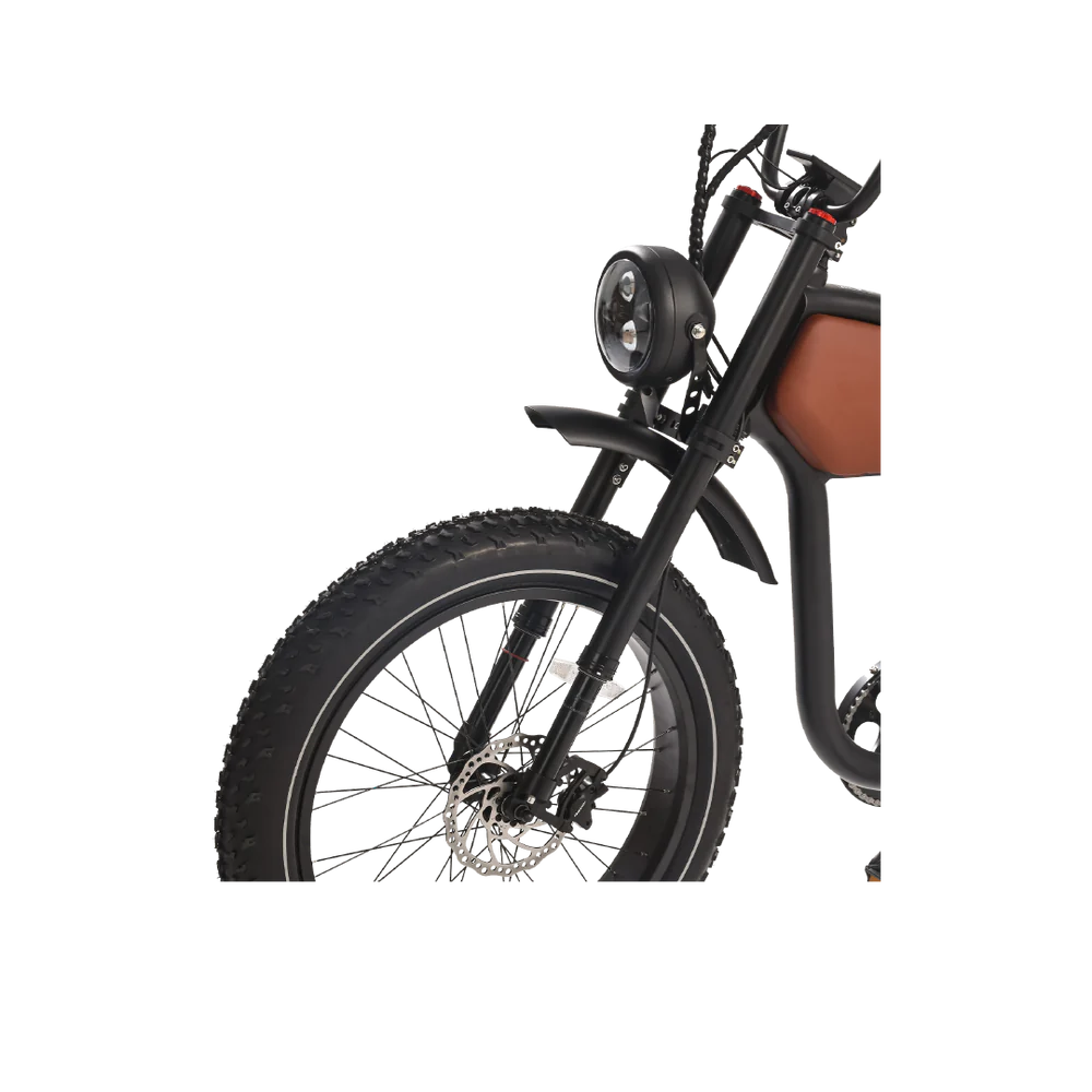 REVI BIKES - Prowler, Vintage Electric Bike 52V 1000W 28mph