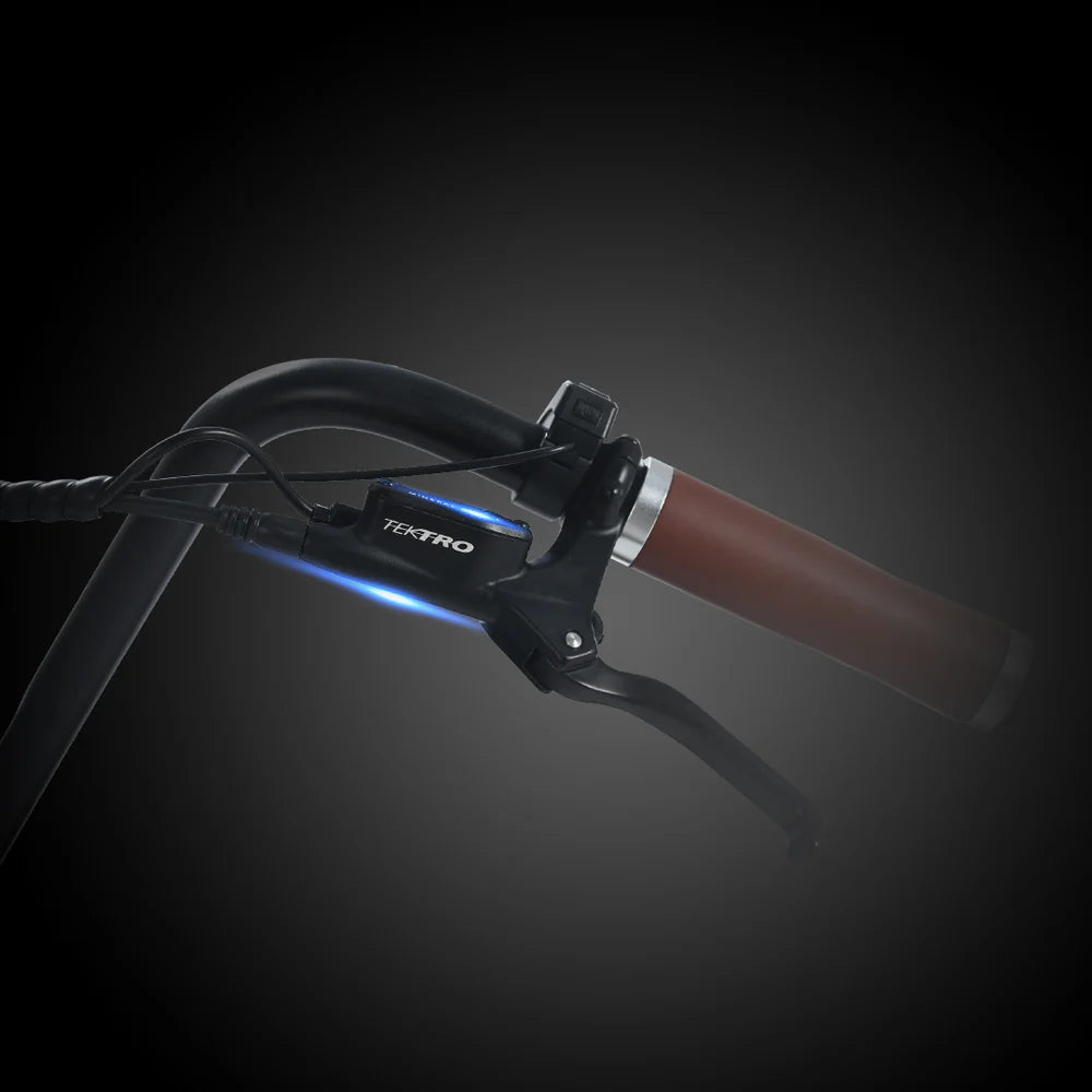 REVI BIKES - Prowler, Vintage Electric Bike 52V 1000W 28mph