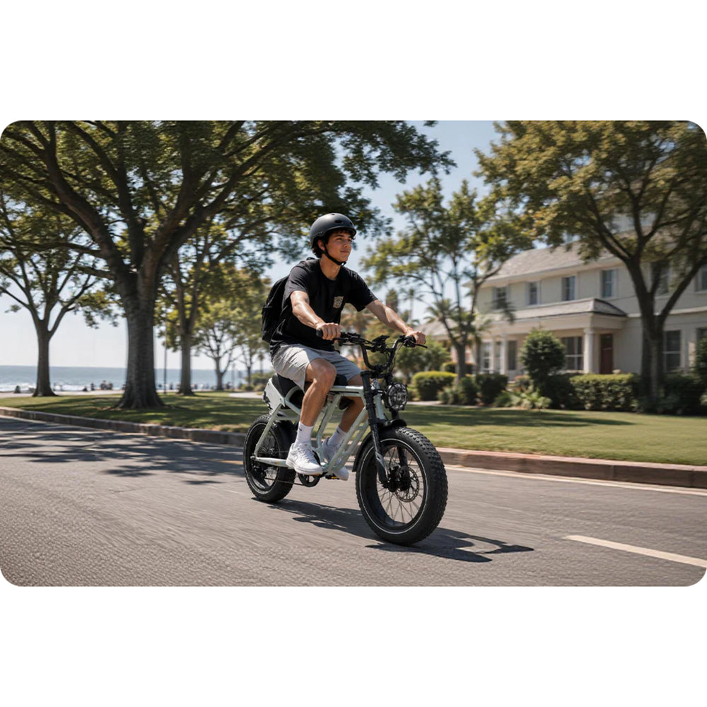EMOJO - Street X Class 2 Street-Legal E-Bike 750W 48V 15AH 28MPH