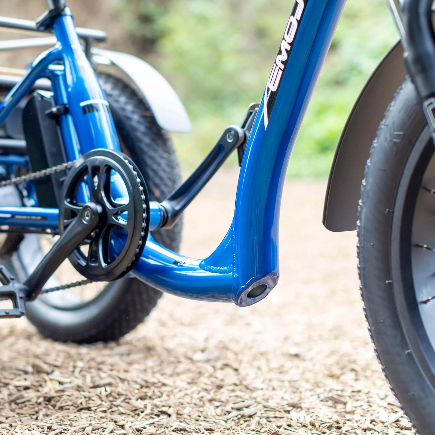 EMOJO - Bull Trail Electric Trike, 48V/14Ah 750W, 20 MPH