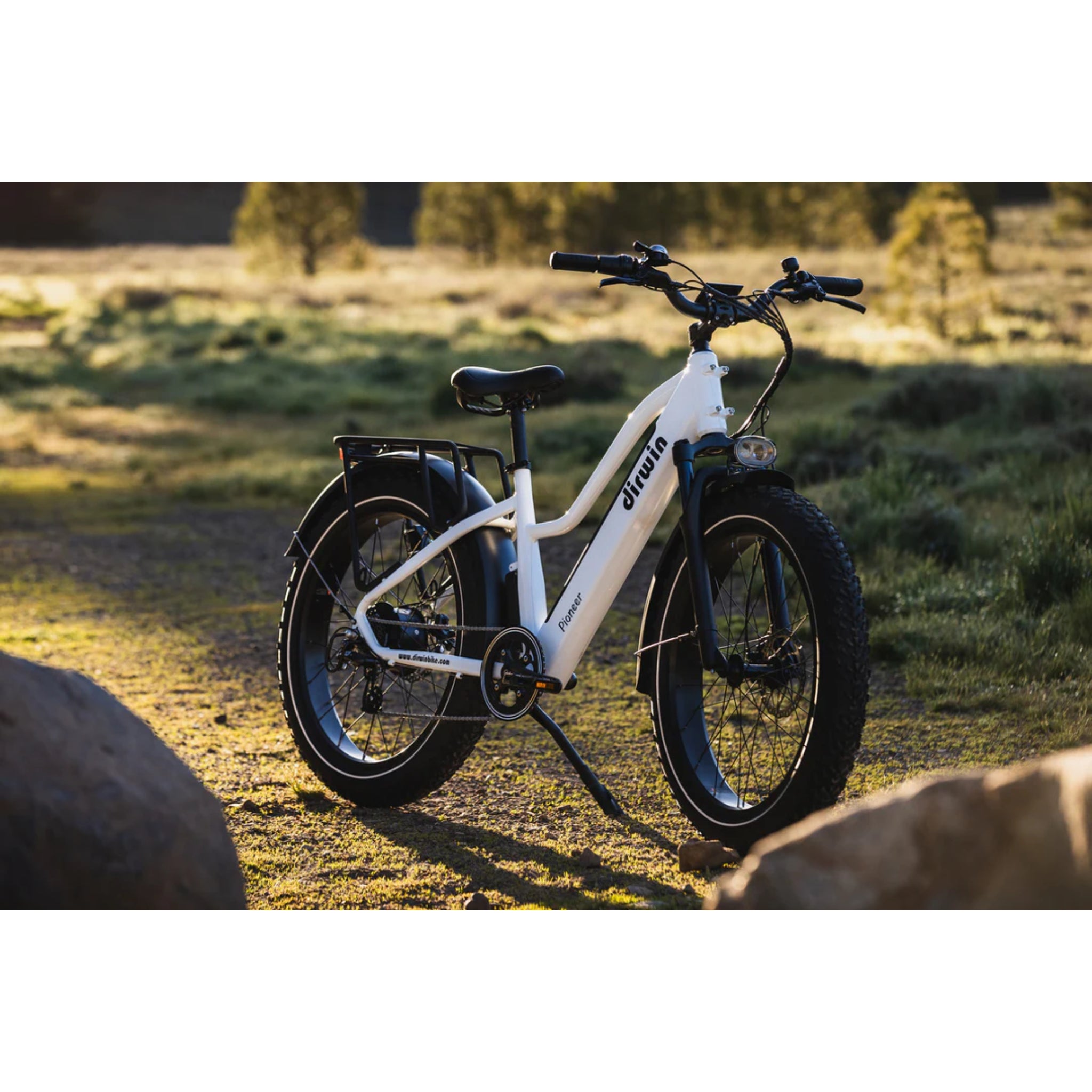 DIRWIN BIKE - Pioneer Fat Tire Electric Bike 48V 750W 23MPH