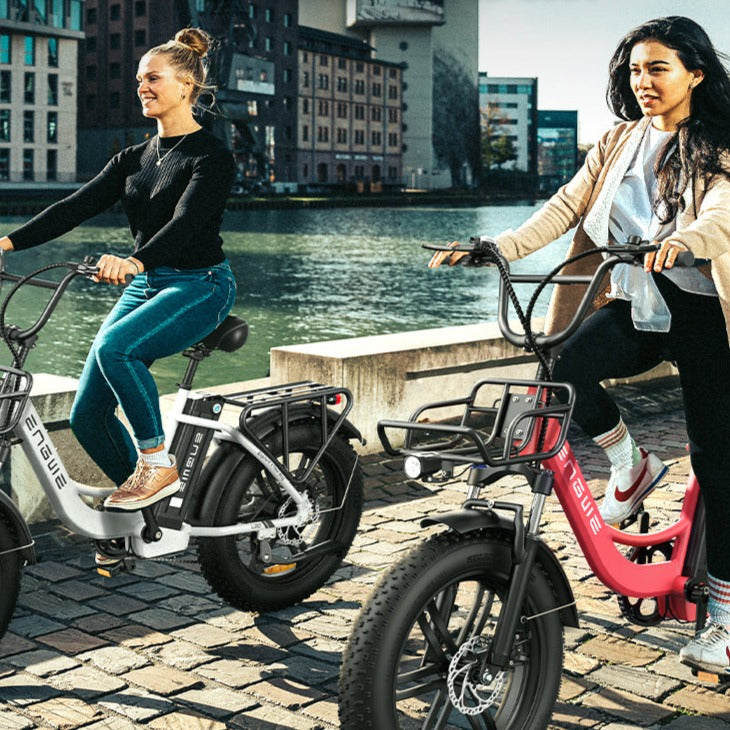 ENGWE - L20 COMBO, Step-Thru Cargo E-Bikes 48V 750W (L20 x2)