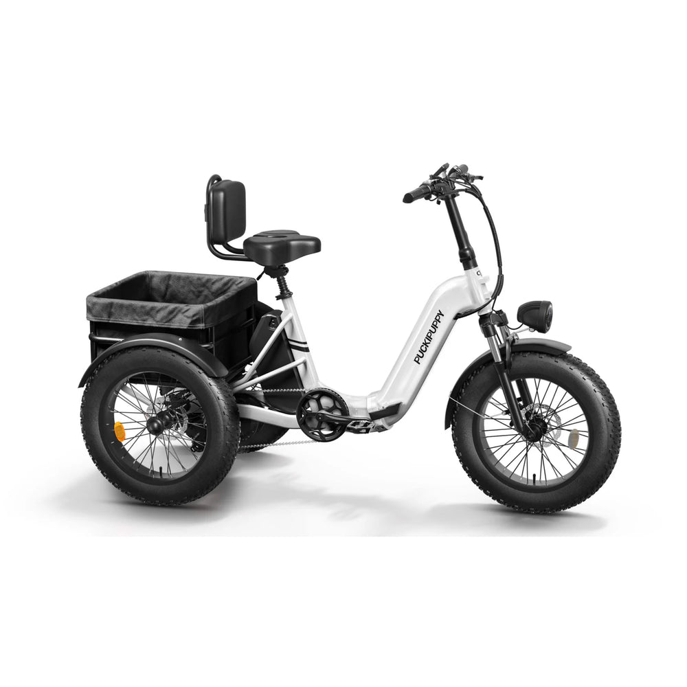 PUCKIPUPPY – Husky E-Trike 750W 15 MPH