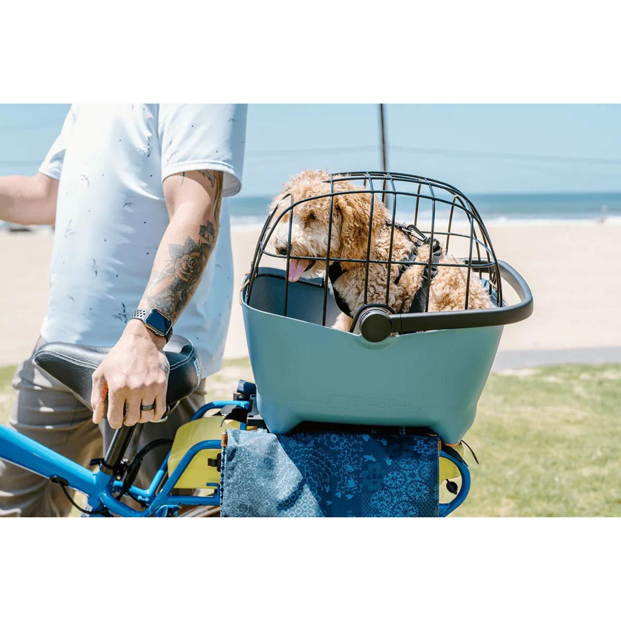 ELECTRIC BIKE COMPANY - Basil Buddy Dog Carrier Basket Combo