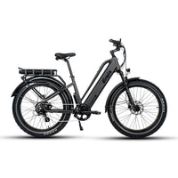 dj fat bike 750w 48v 13ah power electric bicycle Pioneer Plus Fat Tire Electric Bike