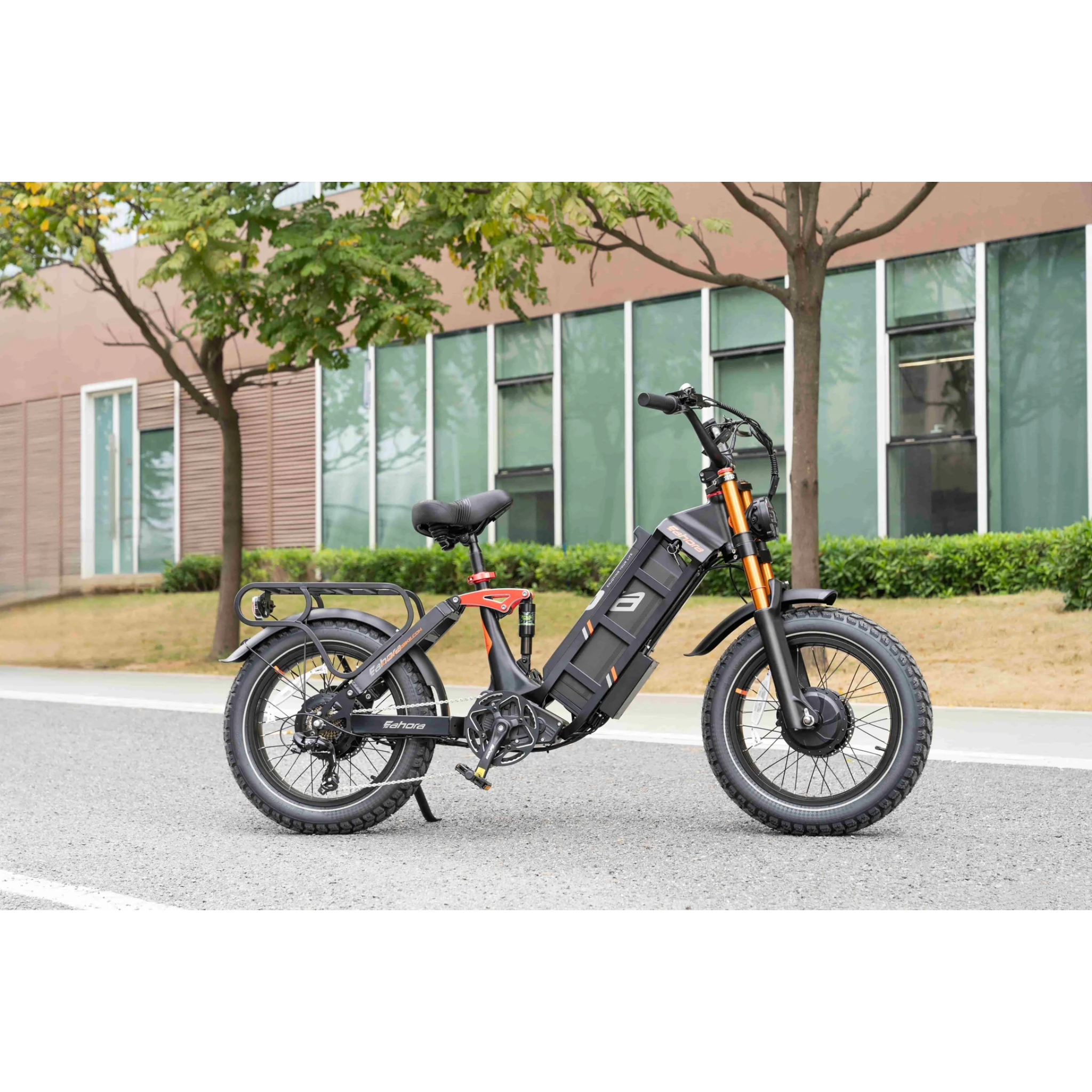 EAHORA – Juliet Pro E-Bike 2500W 41mph
