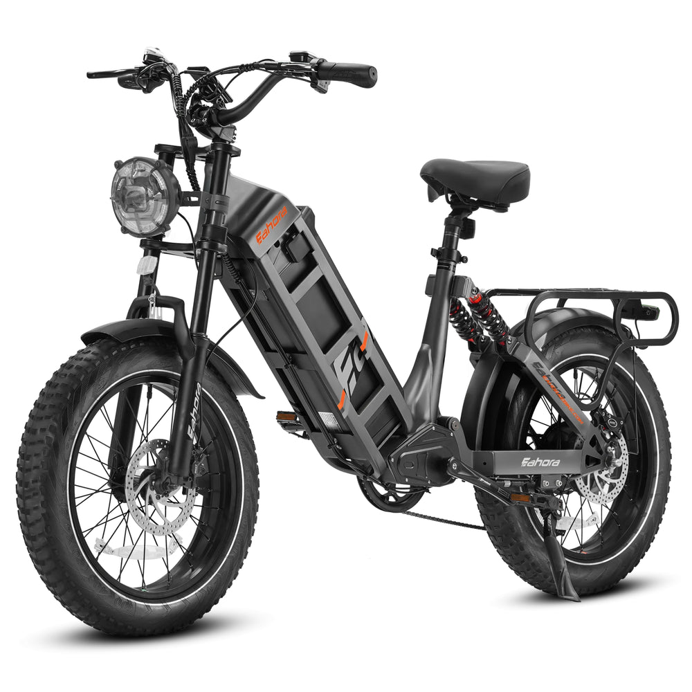 EAHORA - Juliet, Long Range Electric Bike 48V 1000W 28MPH