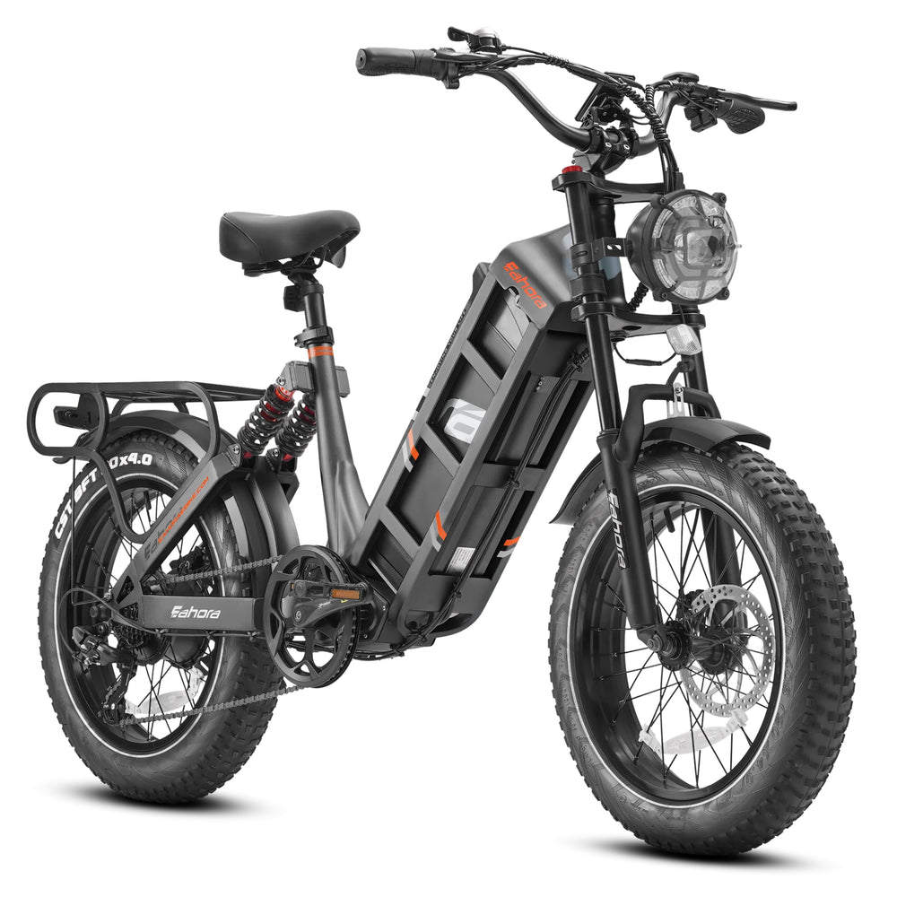 EAHORA - Juliet, Long Range Electric Bike 48V 1000W 28MPH