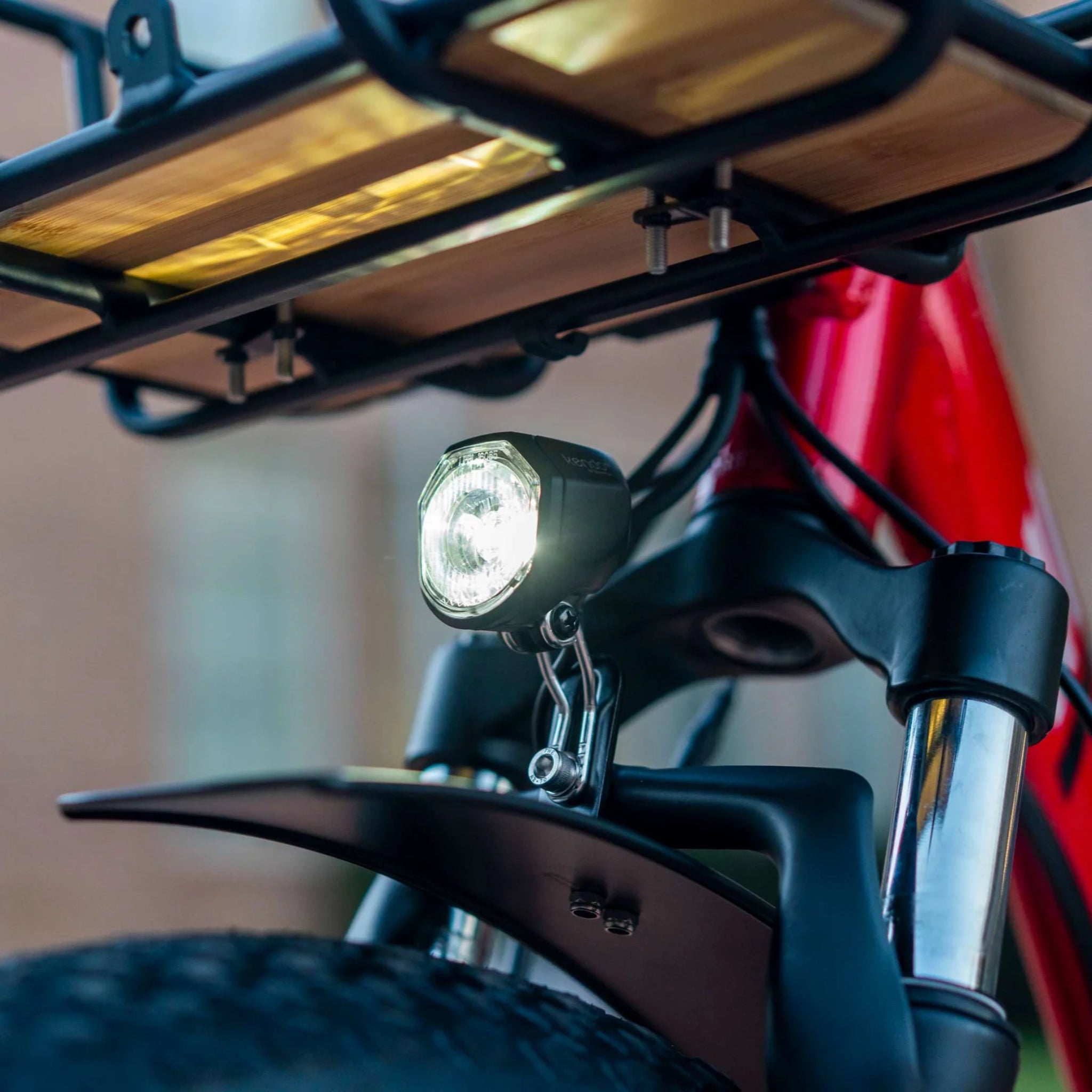 EMOJO - Bison Pro, Electric Trike, 48V/28Ah 750W 20 MPH