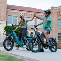 EMOJO - Bobcat Pro Electric Bikes, 48V/15Ah 500W, 20 Mph