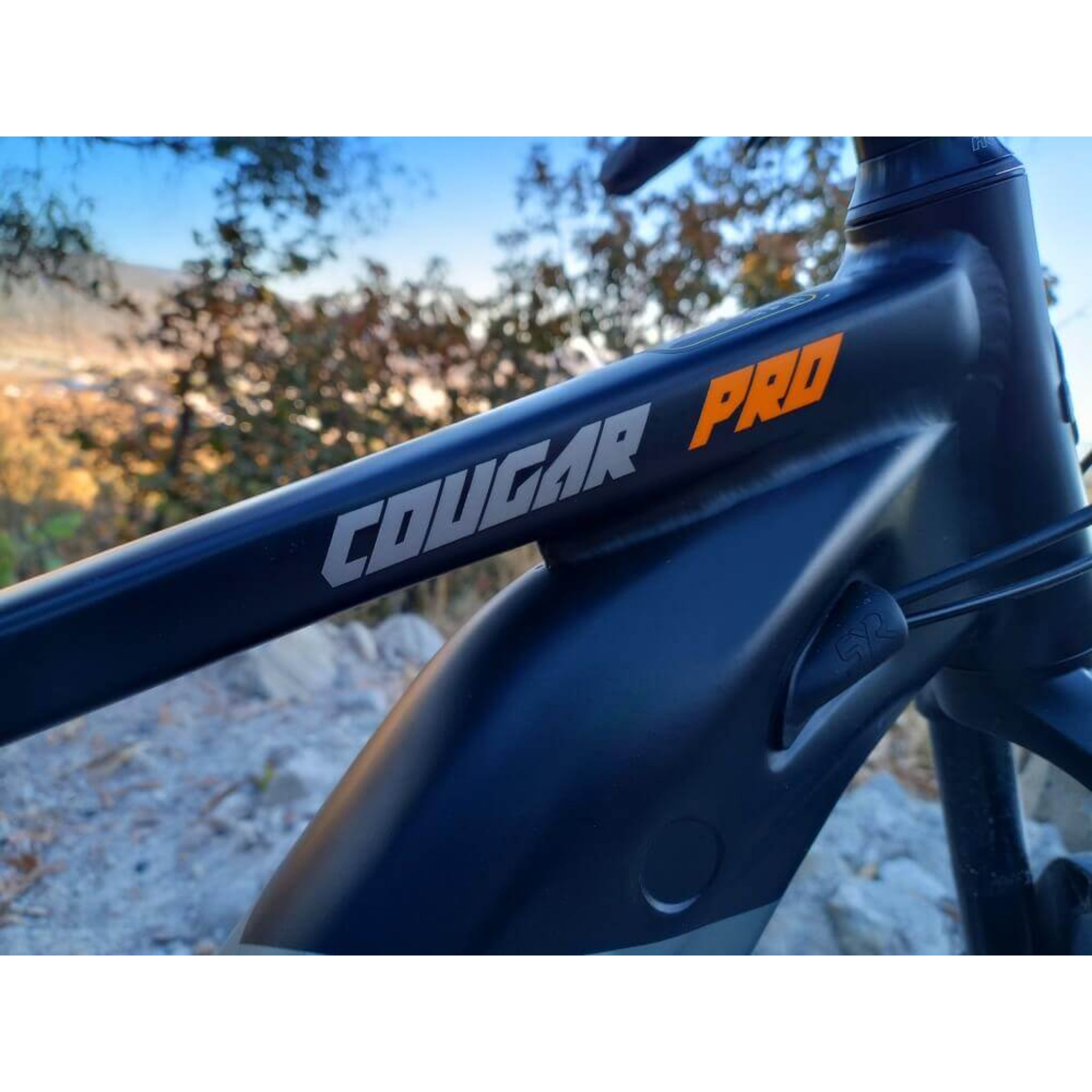 EMOJO - Cougar Pro Electric Bikes, 48V/12Ah 500W, 20 Mph