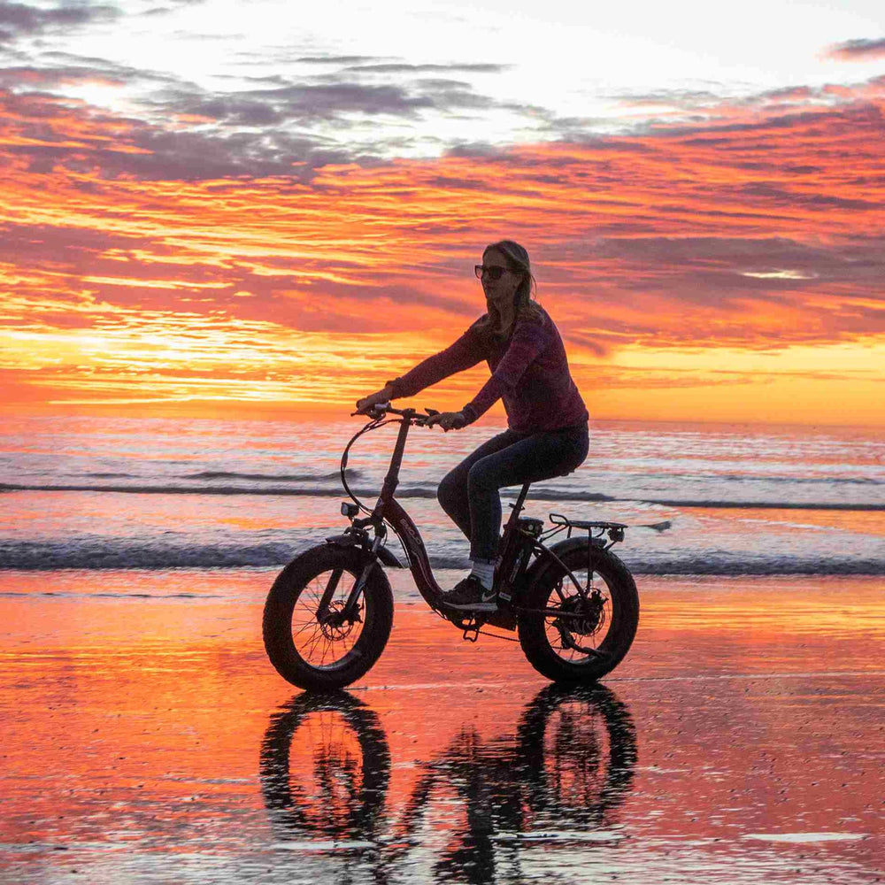 EMOJO - Ram SS Electric Bikes, 48V/10.4Ah 750W, 20 Mph