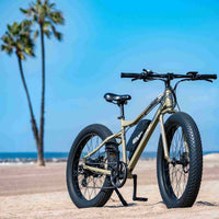 EMOJO - Wildcat Pro 750 Electric Bikes, 48V/10.4Ah 750W, 20 Mph