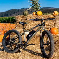 EMOJO - Wildcat Pro 750 Electric Bikes, 48V/10.4Ah 750W, 20 Mph