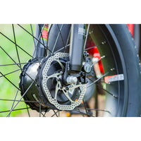 EMOJO - Wildcat Pro 750 Electric Bikes, 48V/10.4Ah 750W, 20 Mph