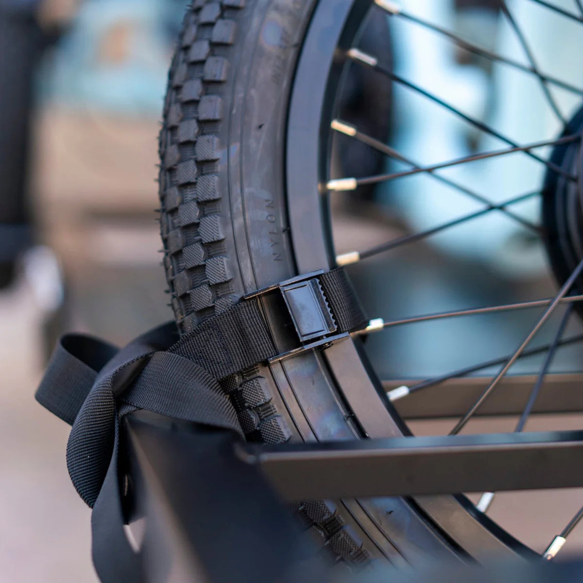 EMOJO - Electric Trike Hitch Rack