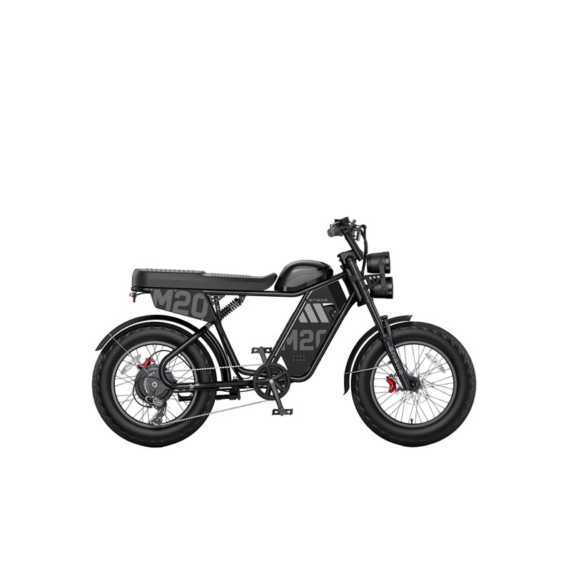 ENGWE - M20 3.0, Full Suspension Electric Bike 60V 3300W