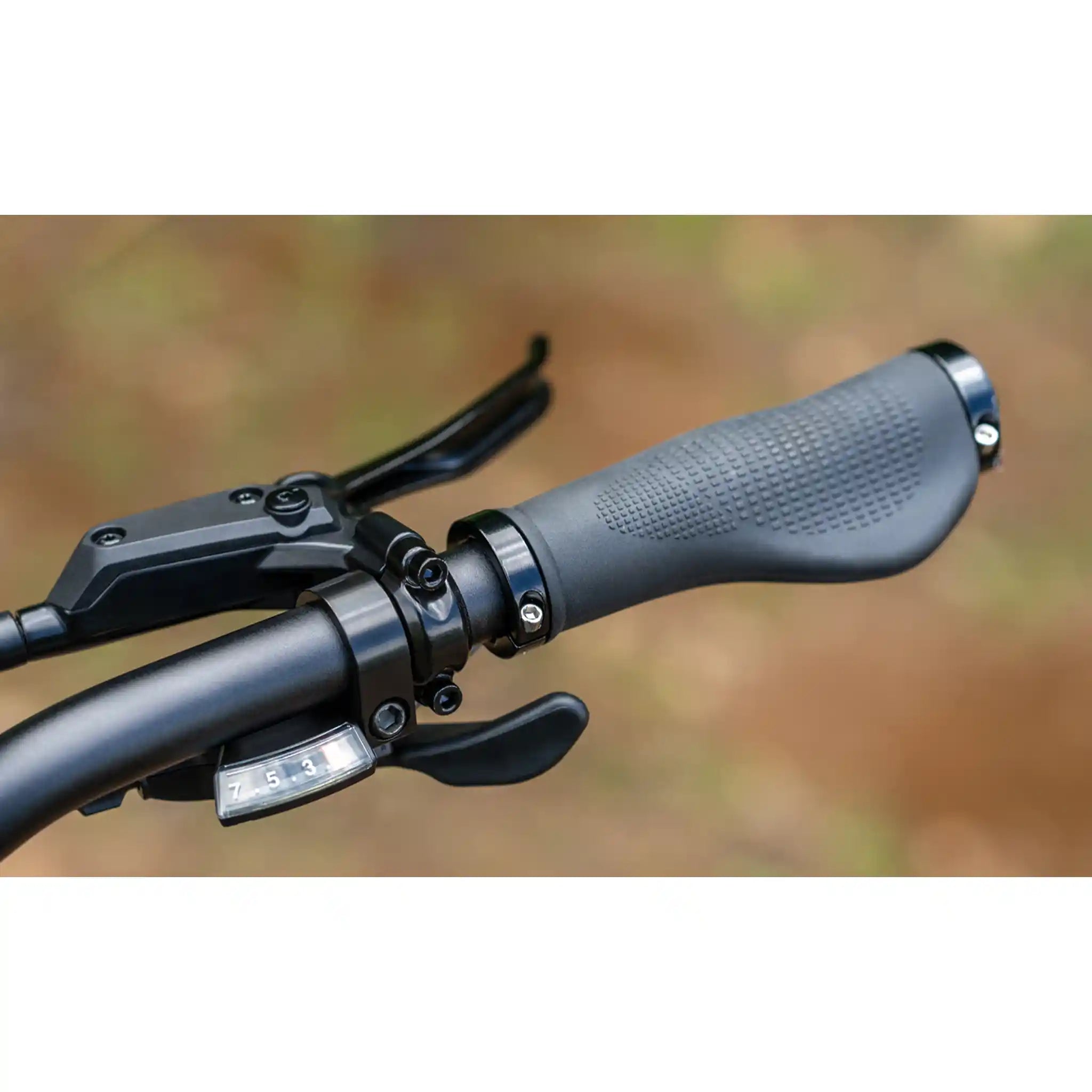 ENGWE - EP-2 3.0 Foldable Fat Tire Electric Bike