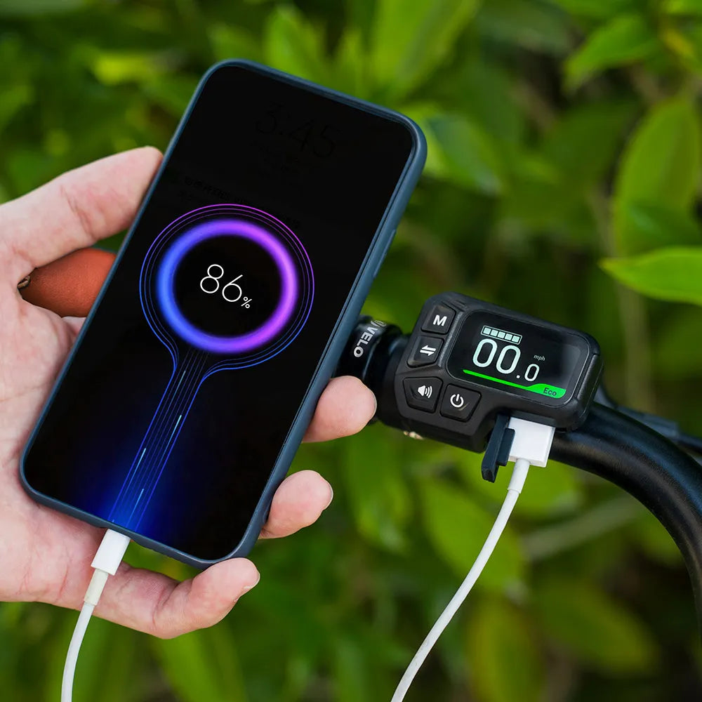 FIIDO -  C11 Pro, Commuter E-Bike 500W 10.4AH 25MPH