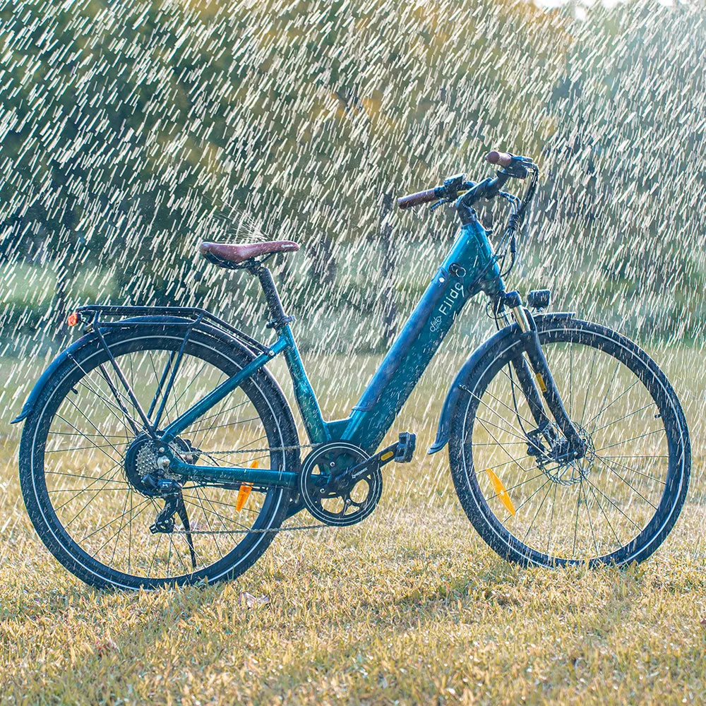 FIIDO -  C11 Pro, Commuter E-Bike 500W 10.4AH 25MPH