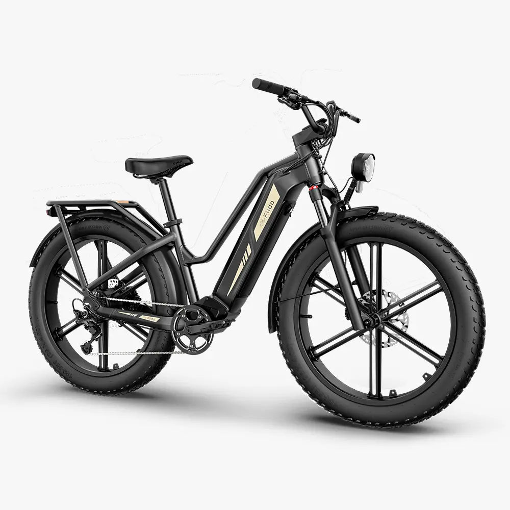 FIIDO - Titan Fat Tire Hunting E-bike 750W 15AH 25MPH FIIDO - Titan Fat Tire Hunting E-bike 750W 15AH 25MPH