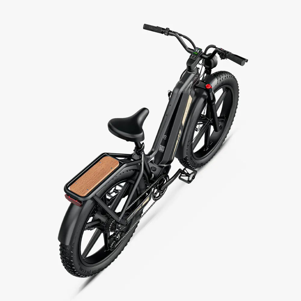 FIIDO - Titan, Fat Tire Hunting Cargo E-bike 750W 15AH 25MPH