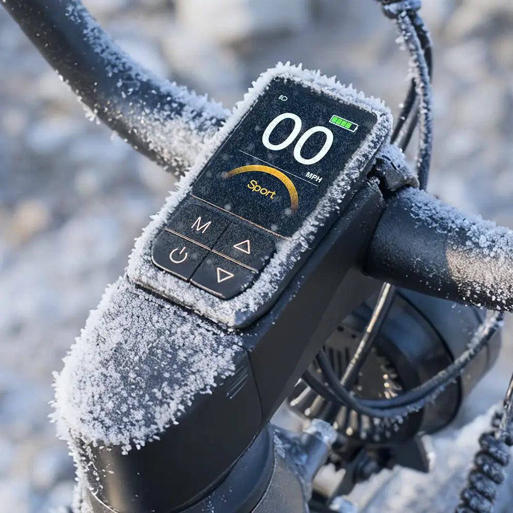 FIIDO - Titan, Fat Tire Hunting Cargo E-bike 750W 15AH 25MPH