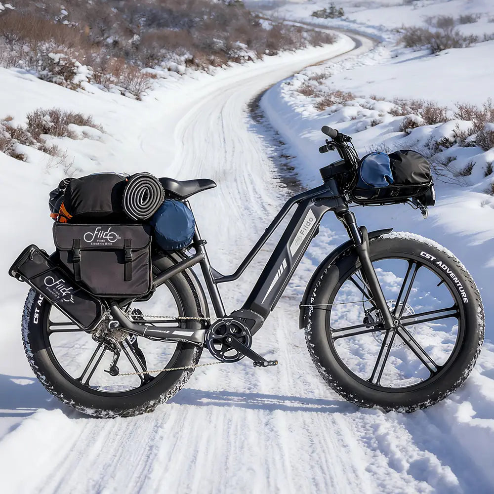 FIIDO - Titan, Fat Tire Hunting Cargo E-bike 750W 15AH 25MPH