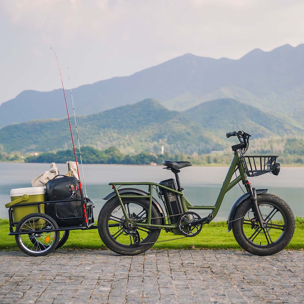 FIIDO - T1 Pro (Cargo) Utility E-bike 750W 22 MPH