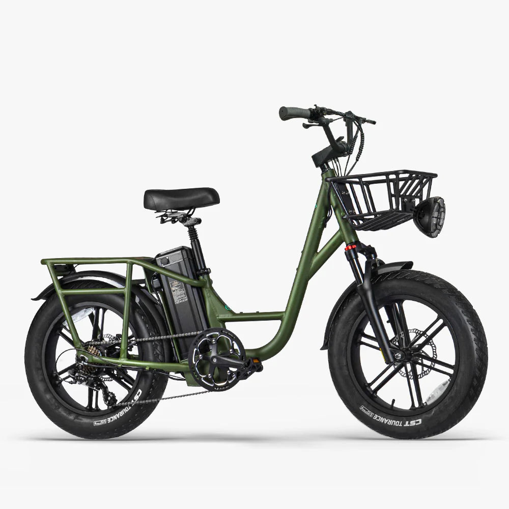 FIIDO - T1 Pro (Cargo) Utility E-bike 750W 22 MPH