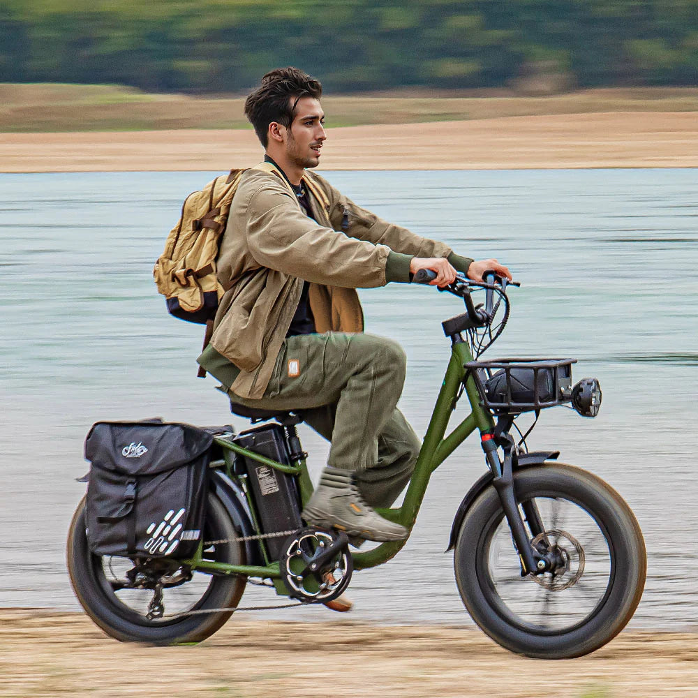 FIIDO - T1 Pro (Cargo) Utility E-bike 750W 22 MPH