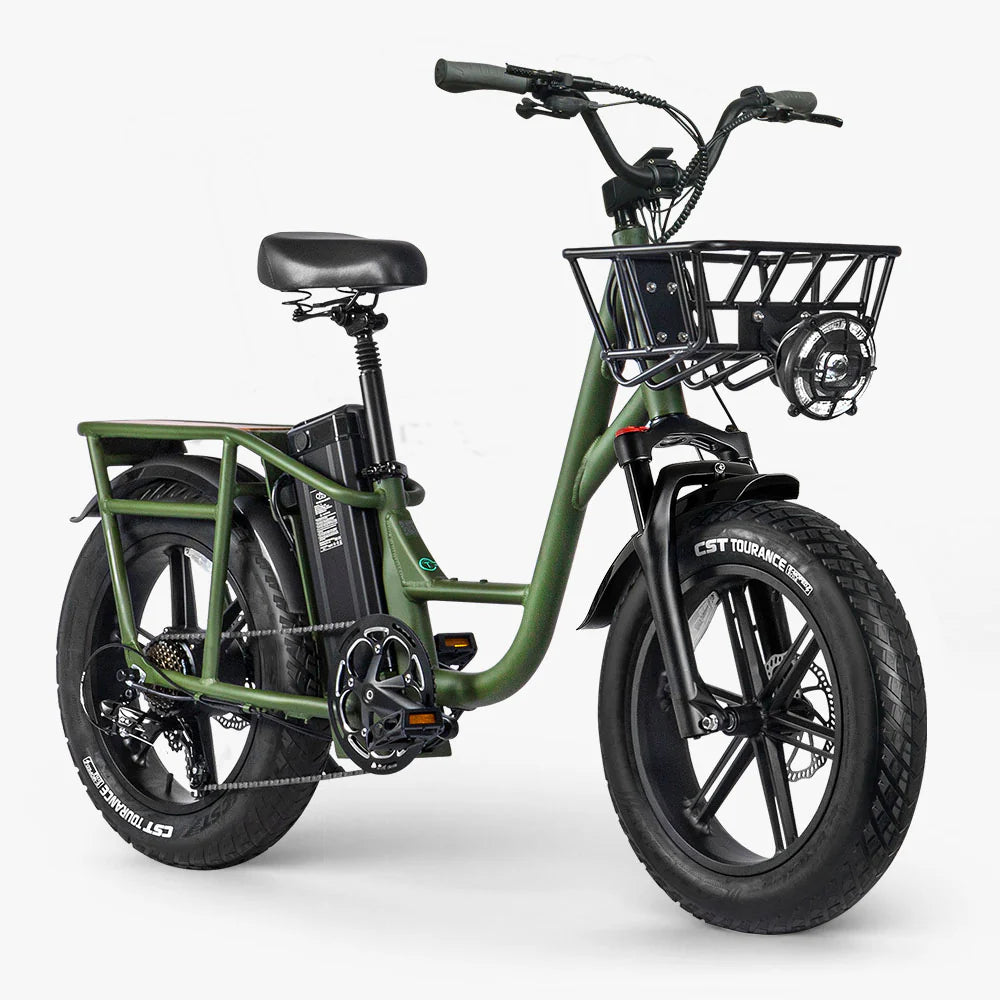 FIIDO - T1 Pro (Cargo) Utility E-bike 750W 22 MPH