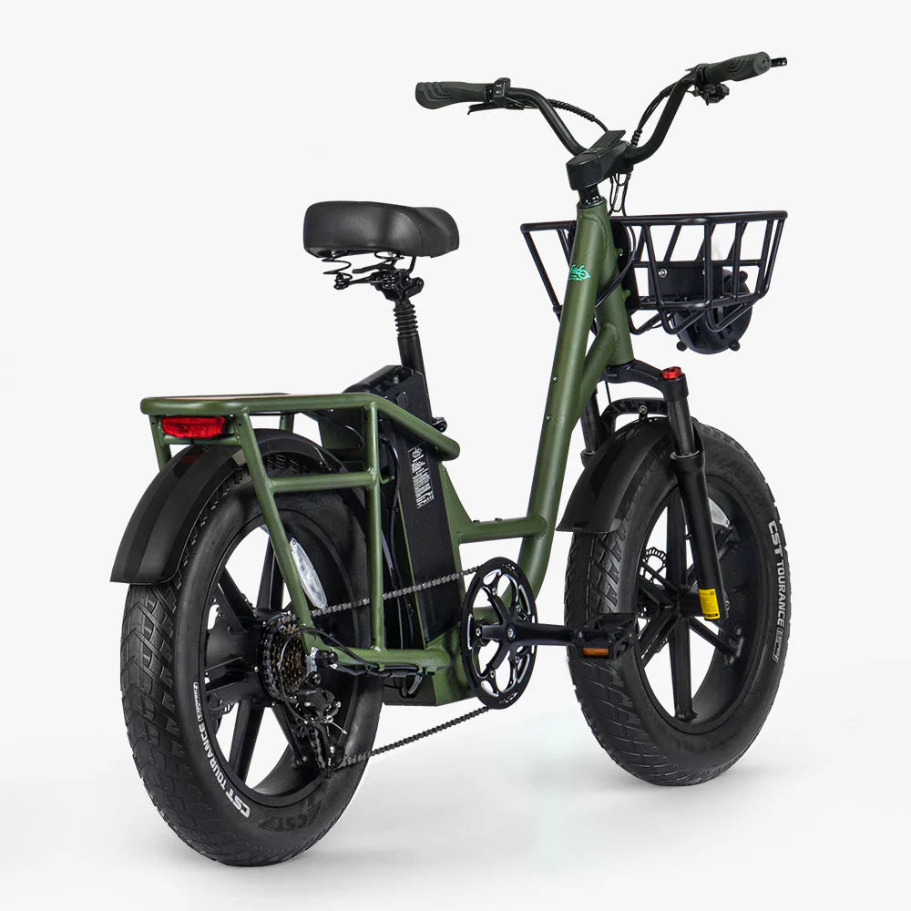 FIIDO - T1 Pro (Cargo) Utility E-bike 750W 22 MPH