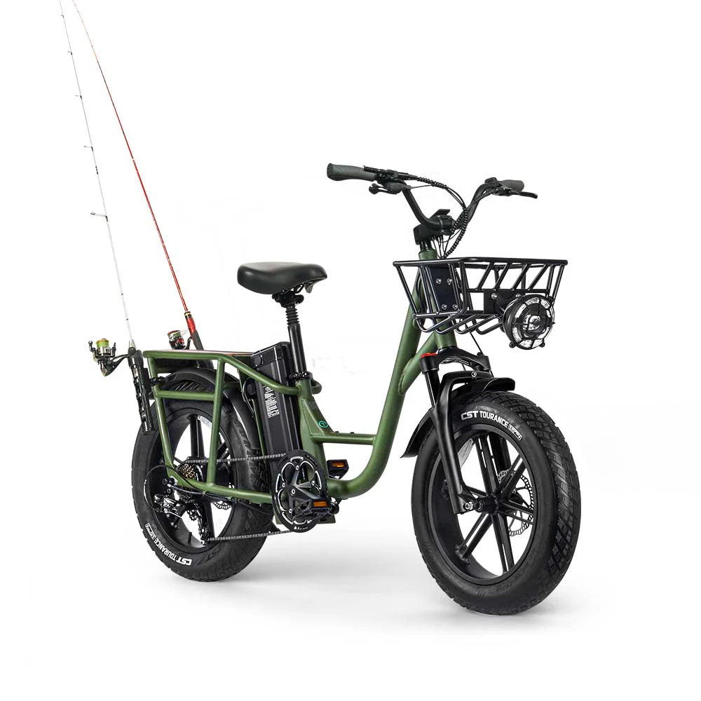 FIIDO - T1 Pro (Cargo) Utility E-bike 750W 22 MPH