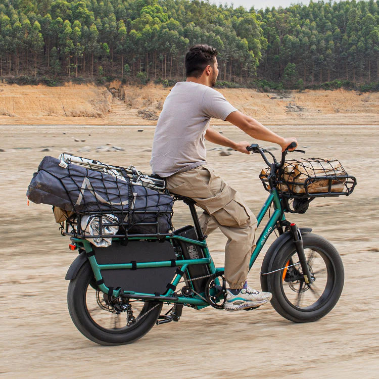 FIIDO - T2 Longtail Cargo E-bike 750W 20.5MPH